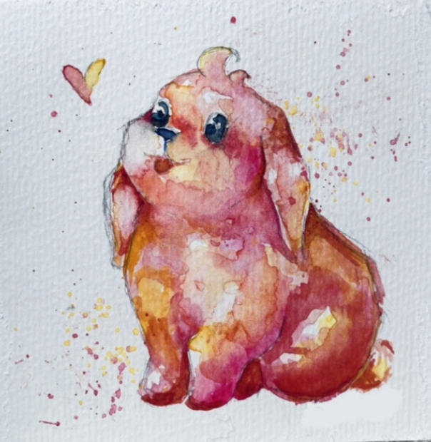 Bunny